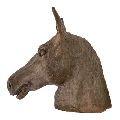 horse’s head