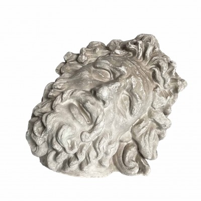 testa di Laocoonte in gesso