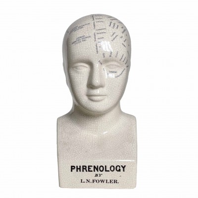 Ceramic Phrenologist’s head