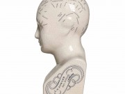 Testa-frenologia-di-ceramica-codice-E165-03