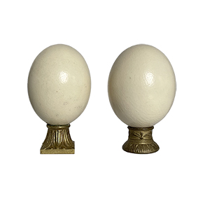 Ostrich Eggs w/ Brass  Base