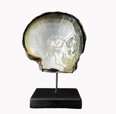 mother-of-pearl shell engraved with a skull